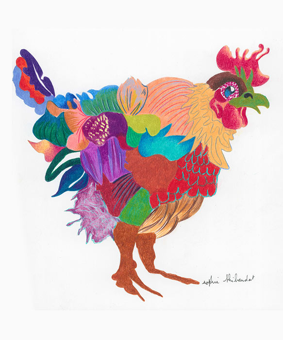 Crayons de couleur Sophie Thibaudat