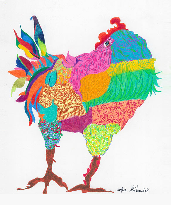 Crayons de couleur Sophie Thibaudat