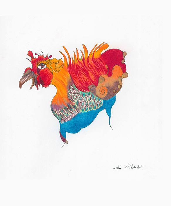 Crayons de couleur Sophie Thibaudat
